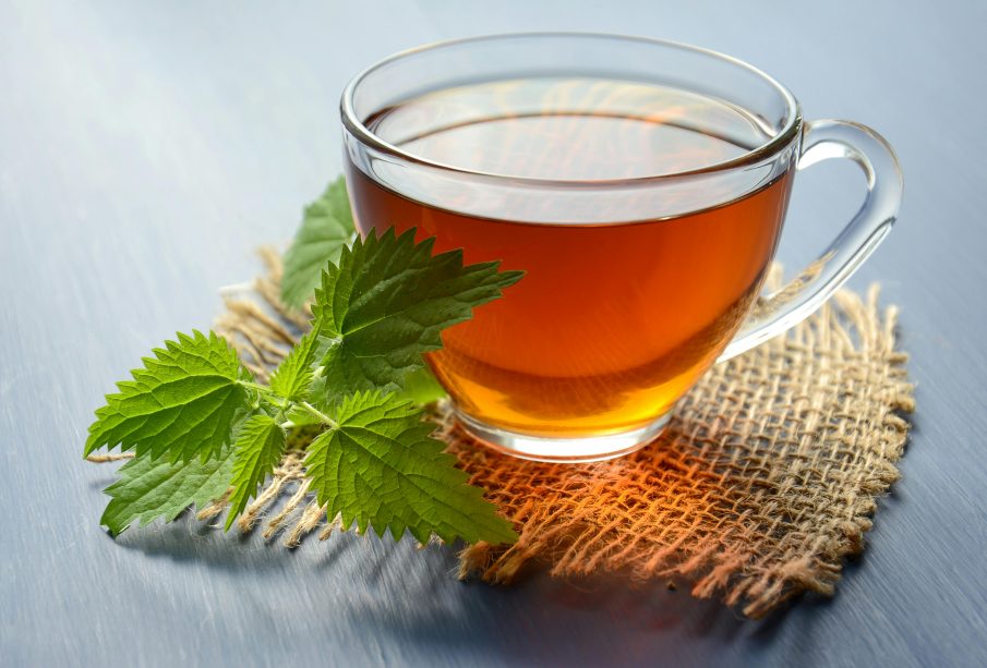 lemon balm for weight loss