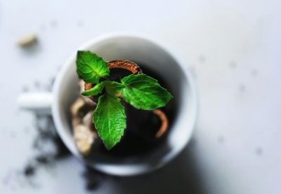 damiana benefits